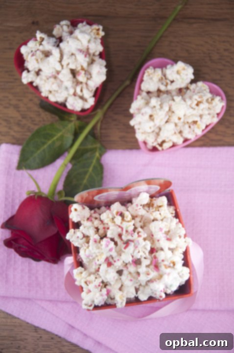 Frosted Popcorn Crunch 3 Sugar Cookie Popcorn for Valentine's Day dessert, movie night snack for kids, birthday party favor or edible present.
