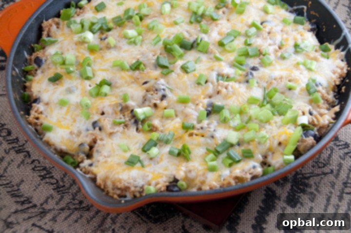 Fiesta Chicken Skillet 2 This Southwest Chicken skillet is all made in one pan which makes for a quick and easy weeknight dinner with minimum effort and clean up required! Try it for your next Mexican food night.