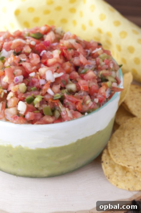 Loaded with guacamole, cheese, sour cream, and Pico de Gallo, this Triple Layer Mexican Party Dip is a fun way to enjoy your next Mexican food night!