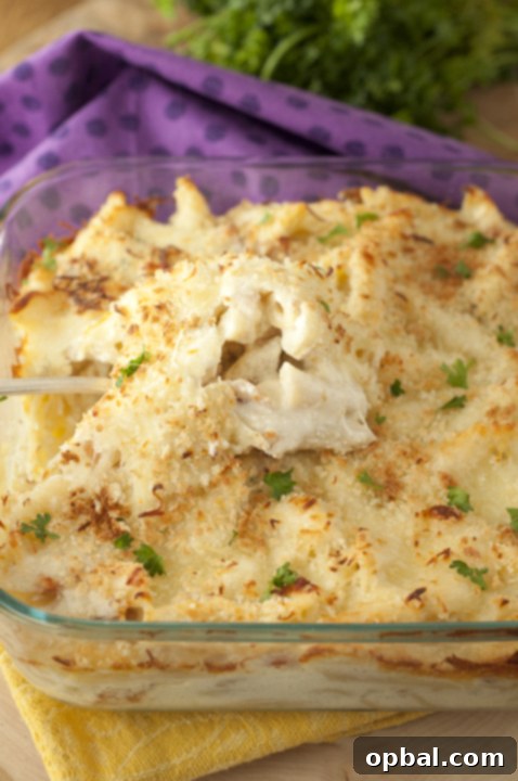 Creamy Bacon Alfredo Pasta Bake, loaded with cheese and smothered in rich Alfredo sauce, a perfect comforting Italian dish for family dinners.
