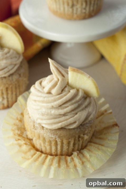 Homemade Apple Cider Cupcakes recipe with creamy Brown Sugar Cinnamon Buttercream Frosting for a great holiday dessert.