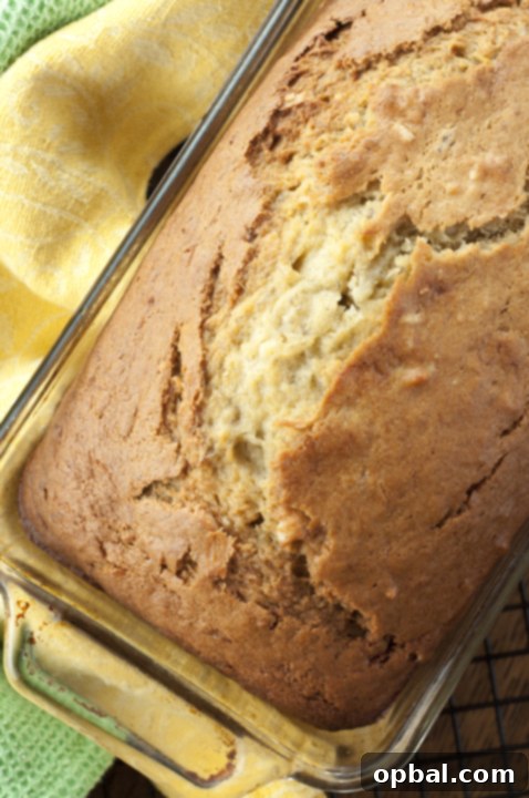 Island-Inspired Banana Coconut Bread 3 A second view of the tropical coconut banana bread, showcasing its perfectly golden exterior and inviting crumb. This versatile loaf is ideal as a breakfast treat, a delightful brunch item, or a satisfying dessert.