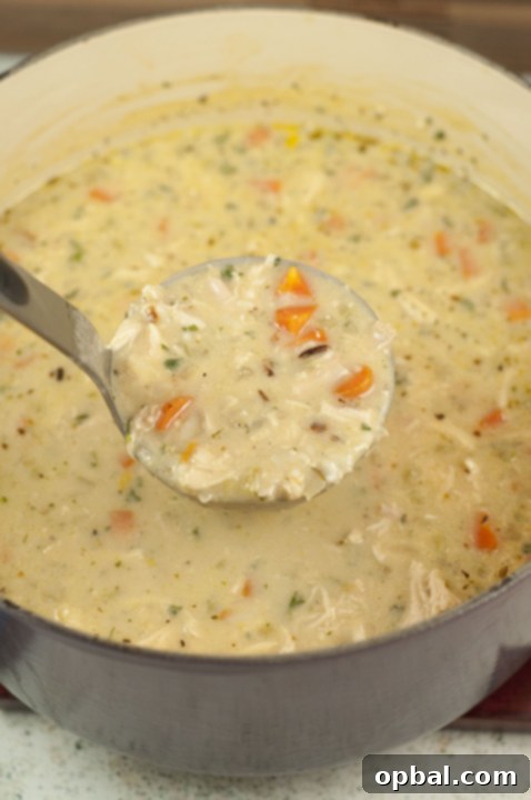 Panera-Style Chicken and Wild Rice Soup 2 Copycat Panera Chicken & Wild Rice Soup recipe is simple, hearty, creamy, and tastes just like my favorite soup at Panera Bread! It's light enough for the spring and summer months.