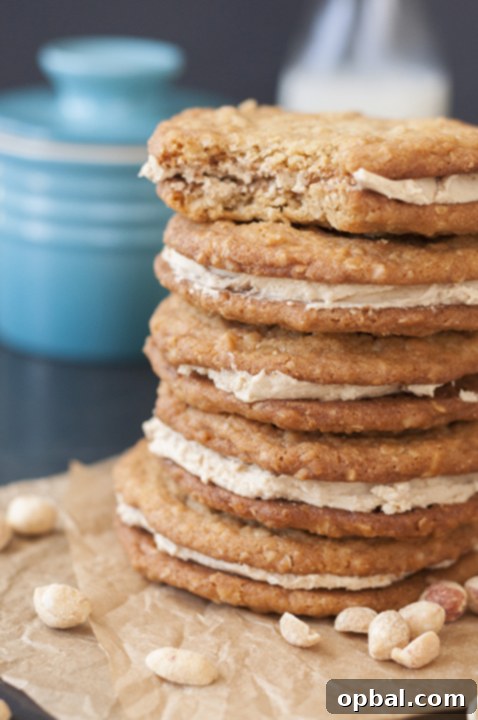 Homemade Stuffed Nutter Butter Cookies {Wishes & Dishes} - A fun and indulgent twist on a classic peanut butter cookie, perfect for satisfying your sweet tooth.