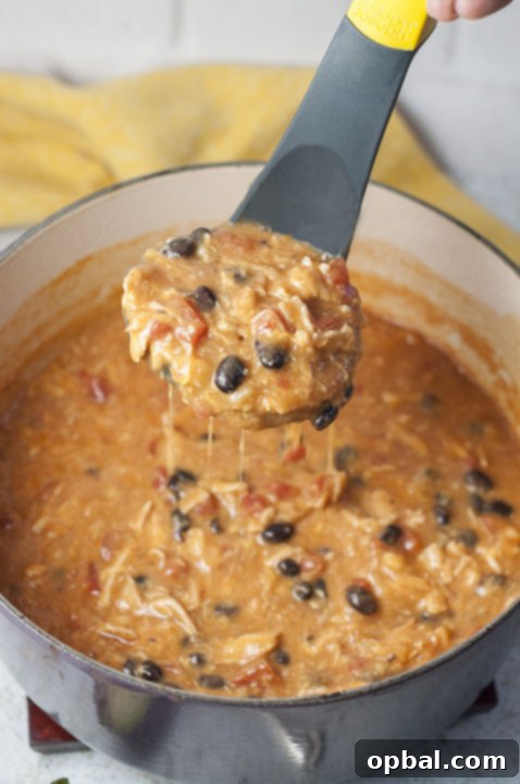 Weekly Meal Plan for Week 105 3 20 Minute Cheesy Enchilada Soup {Wishes & Dishes}