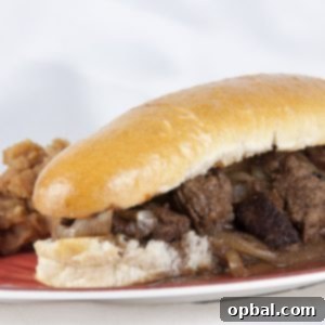 Gourmet Sloppy Joe 3 Fancy Sloppy Joe, aka