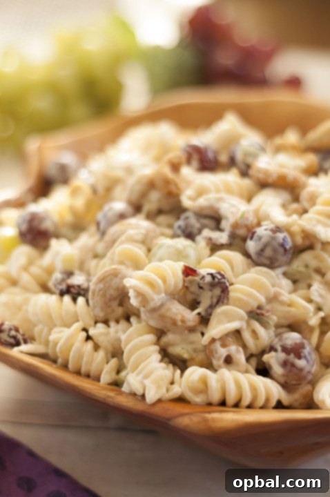 Velvety Cashew Chicken Rotini Salad 3 Fruity Cashew Chicken Rotini Salad with a close-up of spiral pasta, tender chicken, vibrant grapes, and crunchy cashews in a creamy sauce.
