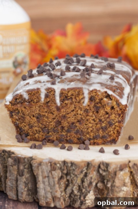 Whiskey Kissed Chocolate Chip Pumpkin Loaf 2 Bourban-Glazed Chocolate Chip Pumpkin Bread recipe where cinnamon and fall spices blend with chocolate and pumpkin flavors to make the most tender, moist dessert bread you'll ever taste!