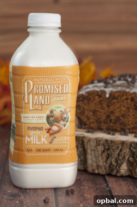 Whiskey Kissed Chocolate Chip Pumpkin Loaf 3 Image of Promised Land Dairy Pumpkin Spice Dairy Milk
