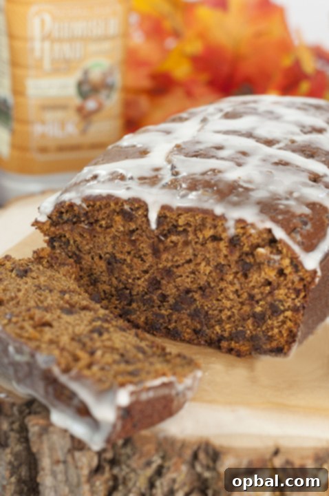 Whiskey Kissed Chocolate Chip Pumpkin Loaf 4 Bourban-Glazed Chocolate Chip Pumpkin Bread recipe where cinnamon and fall spices blend with chocolate and pumpkin flavors to make the most tender, moist holiday quick bread you'll ever make!