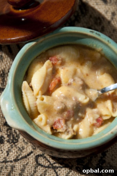 Weekly Meal Plan Week 115 2 Crock Pot Bacon Cheeseburger Soup {Wishes & Dishes}
