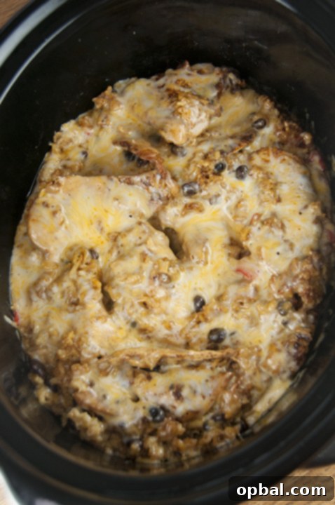 Your Weekly Menu Week 116 2 Crock Pot Fiesta Mexican Chicken & Rice {Wishes & Dishes}