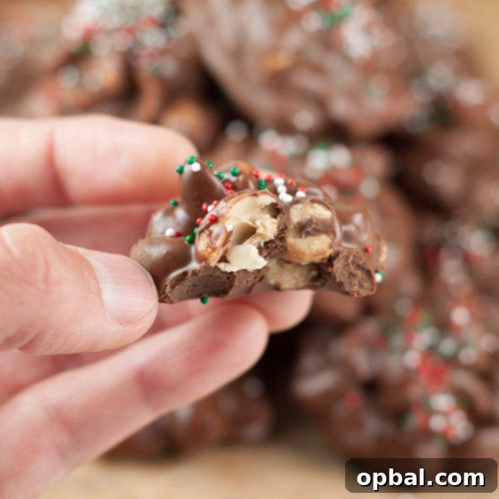 Festive No-Bake Rum Truffles 5 Slow Cooker Triple Chocolate Peanut Candy, a simple and delicious holiday treat