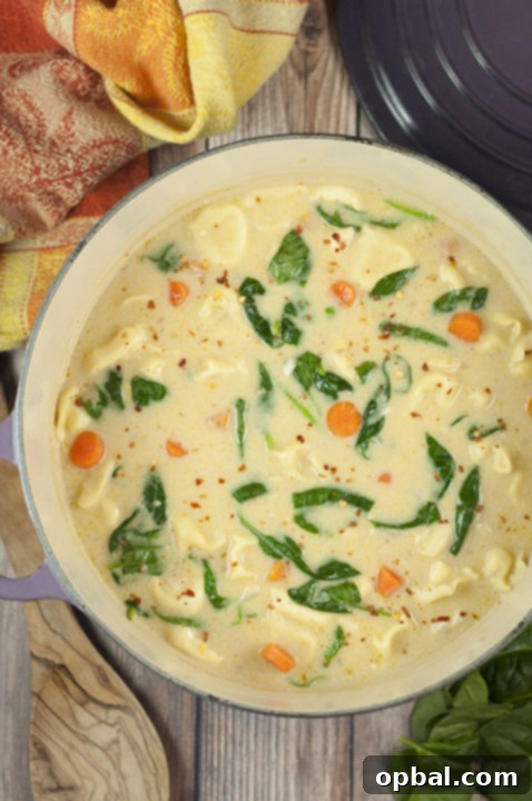 Creamy Chicken Alfredo Tortellini Soup 4 30 Minute Chicken Alfredo Tortellini Soup recipe where the flavors blend together so well everyone will be begging for seconds! The Parmesan Alfredo sauce is the special ingredient that makes this hearty soup rich and creamy.