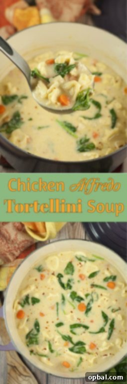 Creamy Chicken Alfredo Tortellini Soup 5 Easy 30 Minute Chicken Alfredo Tortellini Soup where the flavors blend together so well everyone will be begging for seconds! The Parmesan Alfredo sauce is the special ingredient that makes this hearty soup rich and creamy.