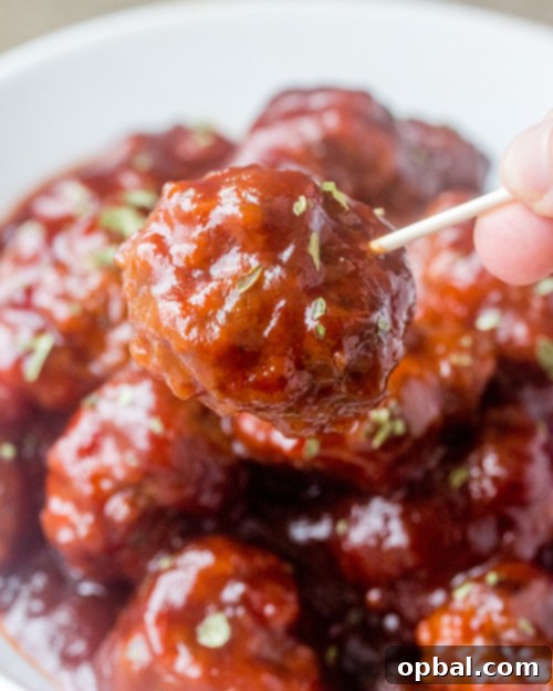 Sweet & Savory Cranberry Meatball Pops 2 This sweet and tangy Cranberry BBQ Cocktail Meatballs recipe is fitting for an easy holiday appetizer or make it into a meal served over rice! These would be a hit for parties, Christmas Eve or New Year's Eve.