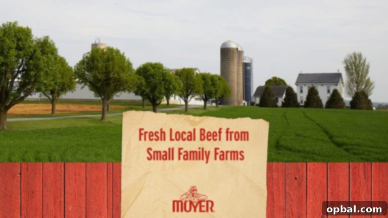 Sweet & Savory Cranberry Meatball Pops 6 Moyer Beef Tag Line: Fresh Local Beef From Small Family Farms.