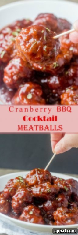 Sweet & Savory Cranberry Meatball Pops 9 This sweet and tangy Cranberry BBQ Cocktail Meatballs recipe is fitting for an easy holiday appetizer or make it into a meal served over rice! These would be a hit for parties, Christmas Eve, Christmas Day, or New Year's Eve.