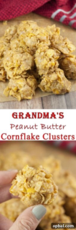 You only need 5 ingredients for this No-Bake Grandma's Peanut Butter Corn Flake Clusters recipe that is perfect for Christmas dessert! They are easy to make and quite addictive!