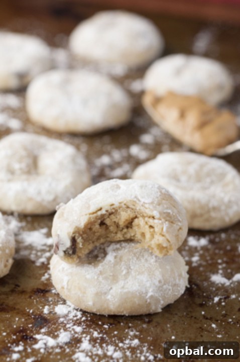 Melt-in-Your-Mouth Peanut Butter Chocolate Crinkle Cookies 2 Peanut Butter Chocolate Soft & Chewy Crinkle Cookies recipe packed with peanut butter and chocolate chips are your new favorite holiday Christmas cookie to add to your dessert trays!