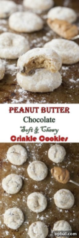 Melt-in-Your-Mouth Peanut Butter Chocolate Crinkle Cookies 5 Peanut Butter Chocolate Soft & Chewy Crinkle Cookies recipe loaded with peanut butter and mini chocolate chips are your new favorite holiday Christmas cookie to add to your dessert trays!
