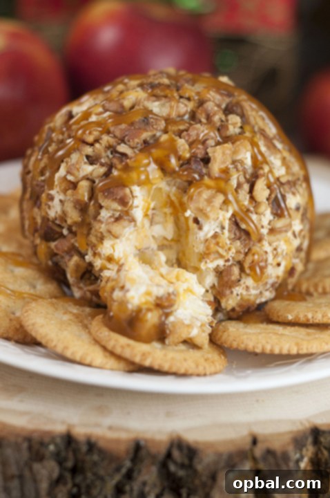 The ultimate holiday appetizer or dessert: a sweet and salty Caramel Apple Cheese Ball, perfect for any party or potluck.