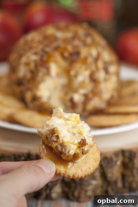 Quick and easy Caramel Apple Cheese Ball with Envy apples, a sweet and salty holiday treat perfect for a New Year's Eve party or potluck.
