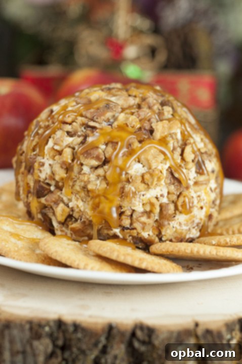 Quick and easy Caramel Apple Cheese Ball, a sweet and salty treat perfect for an office potluck or New Year's Eve party.
