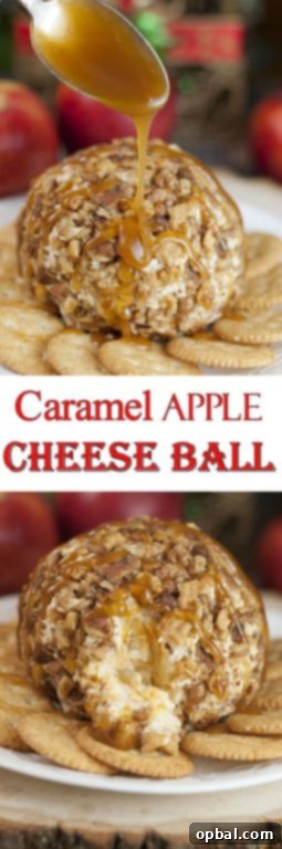 Quick & easy Caramel Apple Cheese Ball recipe, perfect for a holiday appetizer, snack, or holiday dessert!