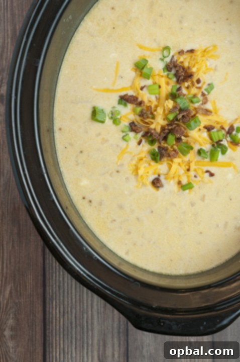 Hearty Slow Cooker Loaded Baked Potato Soup with Bacon 3 A close-up of a creamy Crock Pot Loaded Bacon Baked Potato Soup, garnished with fresh chives and melted cheese, ready for serving.