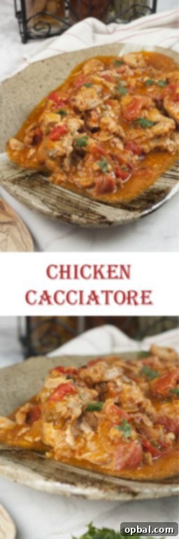 Rustic Hunter's Chicken 11 This hearty Chicken Cacciatore is so easy to make and the rich, thick broth is delicious. We love it served over pasta or with a side of rice and it's the perfect choice for family Italian night!
