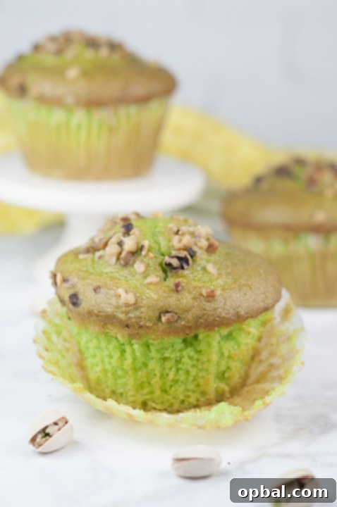 Signature Green Walnut Pistachio Muffins 4 Easy, moist Green Walnut Pistachio Muffins recipe that is fitting for St. Patrick's day breakfast, dessert, or Easter brunch idea! You'll love that special crunch from the toasted nuts on top!