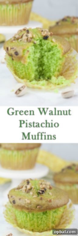 Signature Green Walnut Pistachio Muffins 5 Easy, moist Green Walnut Pistachio Muffins recipe that is fitting for St. Patrick's day breakfast, dessert, or Easter brunch idea! You'll love that special crunch from the toasted nuts on top!