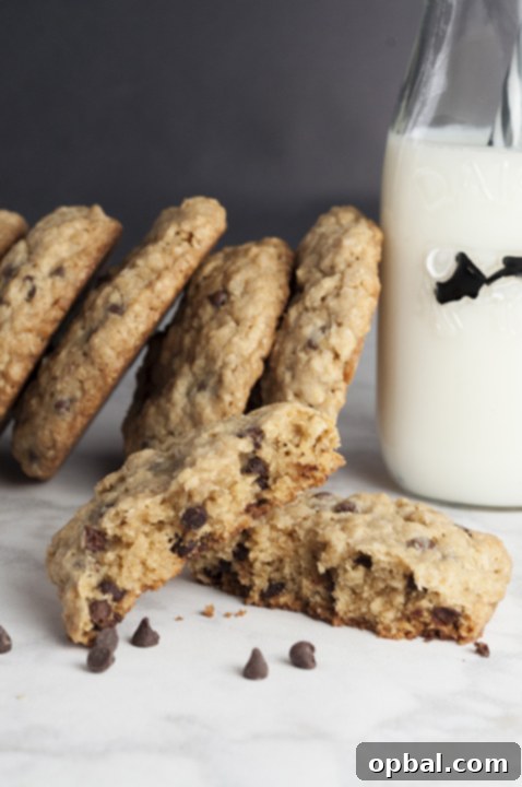 Perfectly baked golden-brown chewy chocolate chip oatmeal cookies cooling on a wire rack.