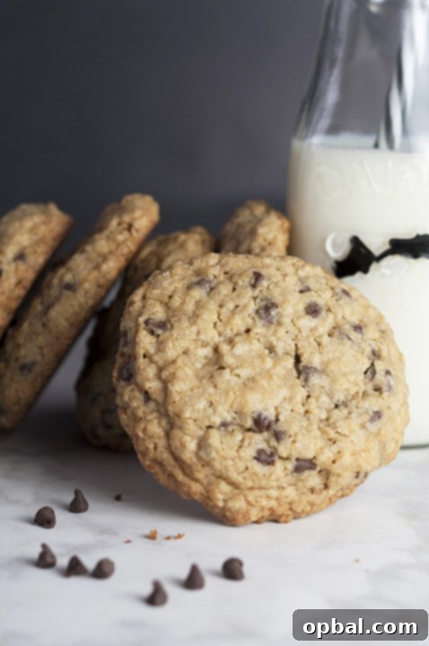 Three delicious chocolate chip oatmeal cookies stacked on a plate, showcasing their perfect golden crust and soft interior.