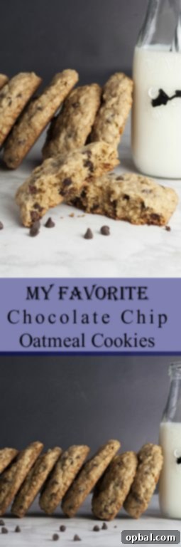 Golden Oatmeal Chocolate Chip Perfection 6 A solitary, perfectly baked chocolate chip oatmeal cookie resting on a wooden surface, ready to be enjoyed.