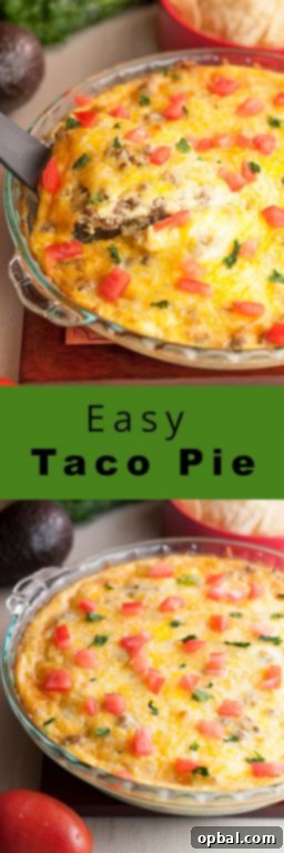 Effortless Taco Bake 5 A slice of hearty and easy low-carb taco pie, showcasing layers of seasoned ground beef, eggs, cream, and melted cheddar cheese, ready to be topped.
