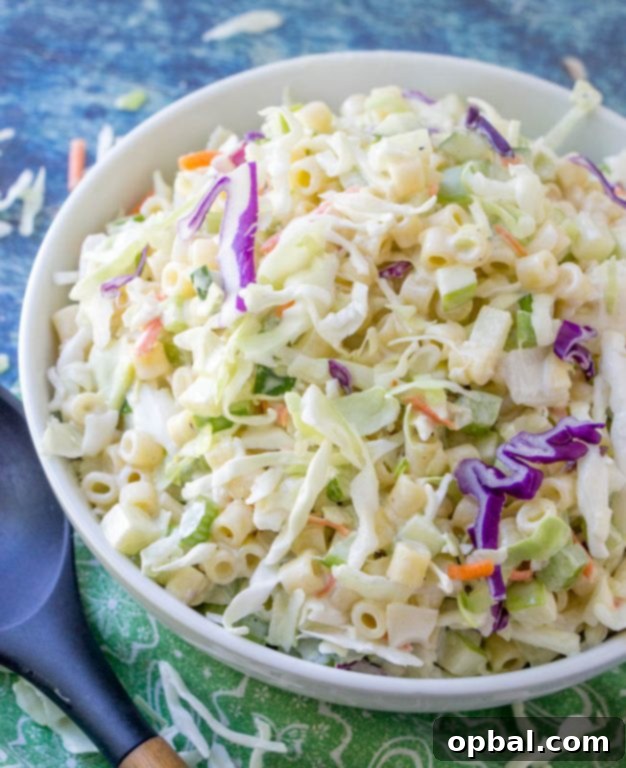 Homestyle Macaroni Slaw 3 Close-up of Macaroni Coleslaw Salad showing colorful vegetables and pasta in a creamy dressing.