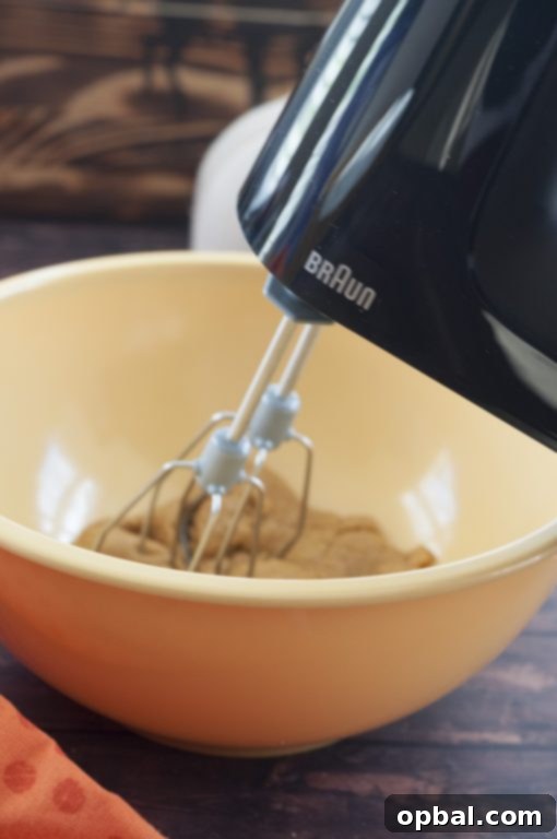 Easy, Soft, fluffy Pumpkin Snickerdoodles made efficiently with a Braun hand mixer.