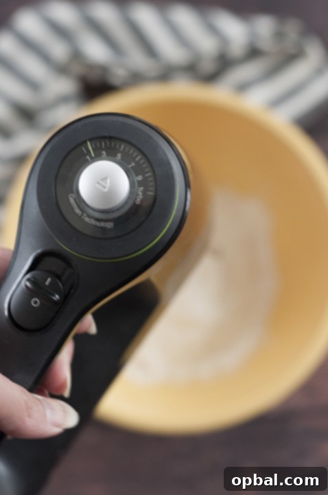 Easy, Soft, fluffy Pumpkin Snickerdoodles benefiting from the power of a Braun MultiMix 5 hand mixer.