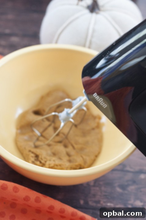 Soft, fluffy Pumpkin Snickerdoodles mixed to perfection with the new high-powered Braun MultiMix 5 hand mixer.