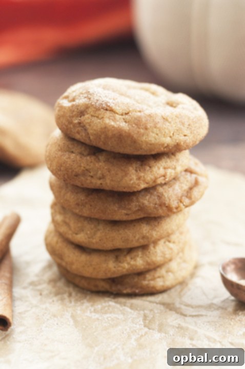 Soft, fluffy Pumpkin Snickerdoodles are your two favorite cookies combined and a great fall treat! They are one of the most delicious pumpkin cookie recipes you'll ever bake!