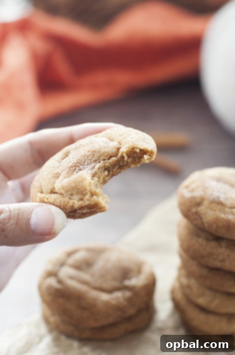 Soft, fluffy holiday Pumpkin Snickerdoodles are your two favorite cookies combined and a great fall treat! They are one of the most delicious pumpkin dessert recipes you'll ever bake!