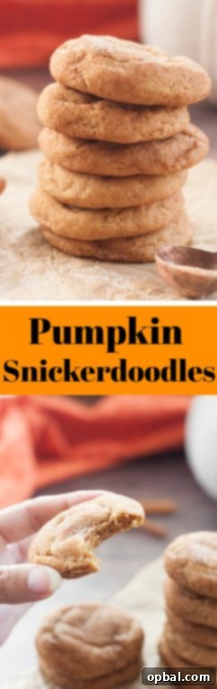 Soft, fluffy Pumpkin Snickerdoodles are a great fall treat, easy holiday dessert, simple Christmas cookie, and one of the most delicious pumpkin cookie recipes you'll ever taste!