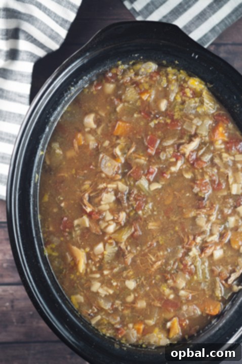 Rustic Slow Cooker Sicilian Chicken Soup 4 A rustic overhead shot of a slow cooker brimming with homemade Sicilian Chicken Soup, adorned with fresh parsley, highlighting its hearty ingredients and inviting warmth.