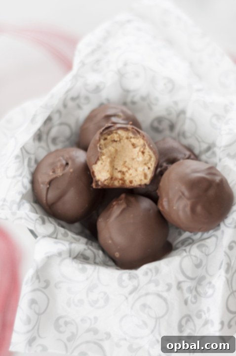 Easy Peanut Butter Krispie Bites 2 Delicious chocolate-covered No-Bake Peanut Butter Rice Krispie Balls, perfect for Christmas desserts and holiday parties.