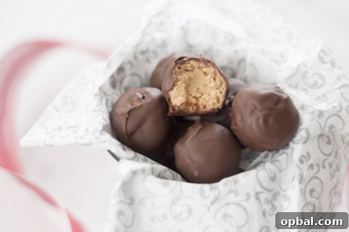 Easy Peanut Butter Krispie Bites 3 Close-up of No-Bake Peanut Butter Rice Krispie Balls, highlighting the smooth chocolate coating and crispy interior.