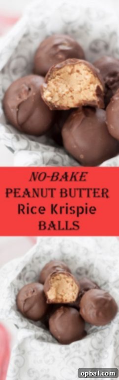 Easy Peanut Butter Krispie Bites 6 A close-up of a single chocolate-dipped No-Bake Peanut Butter Rice Krispie Ball, ready to eat.