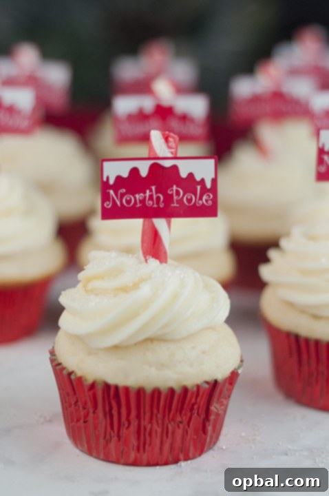 Arctic Snowflake Cupcakes 2 Snowy North Pole Cupcakes, a delightful Christmas dessert perfect for holiday parties and family baking fun