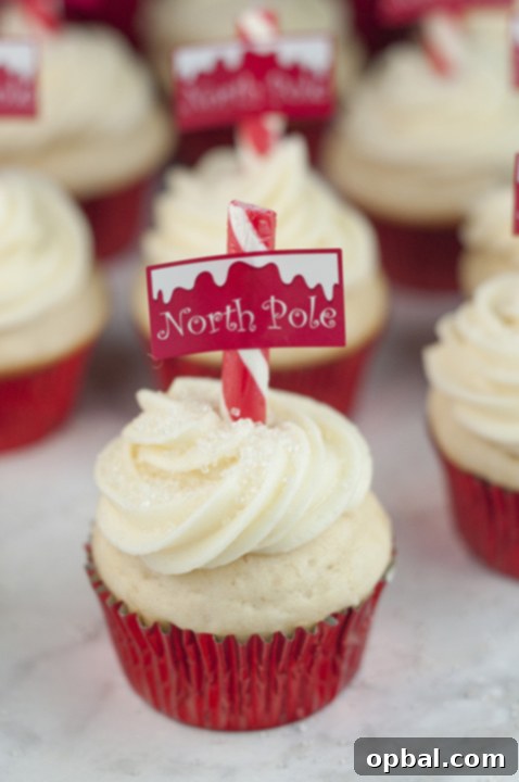 Arctic Snowflake Cupcakes 6 Easy Snowy North Pole Cupcakes, a creative holiday dessert for Christmas potlucks and family fun